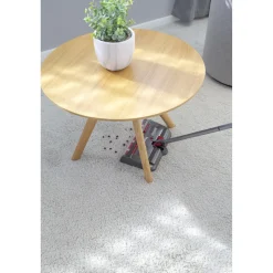 Staubsauger|Die moderne Hausfrau Akku-Kehrbesen 