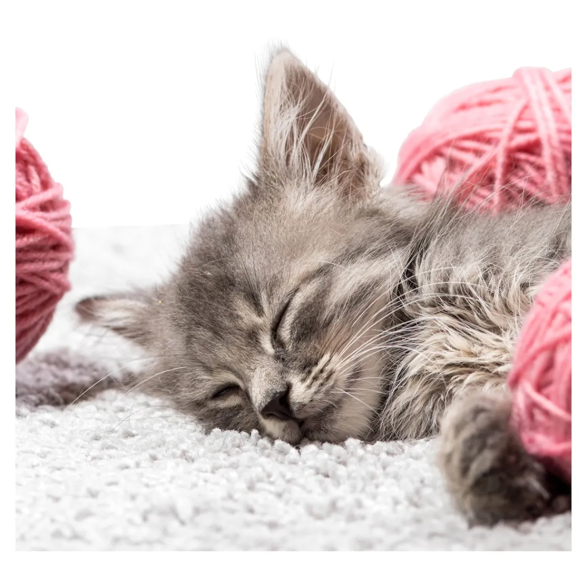 Die moderne Hausfrau Anti-Rutsch-Auflage Katze