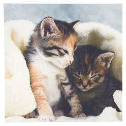 Badaccessoires ·Baddekoration|Die moderne Hausfrau Anti-Rutsch-Auflage Kätzchen