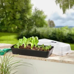 Gewächshäuser & Aufzuchthilfen|Die moderne Hausfrau Anzuchtbeet mit Haube „2 in 1“