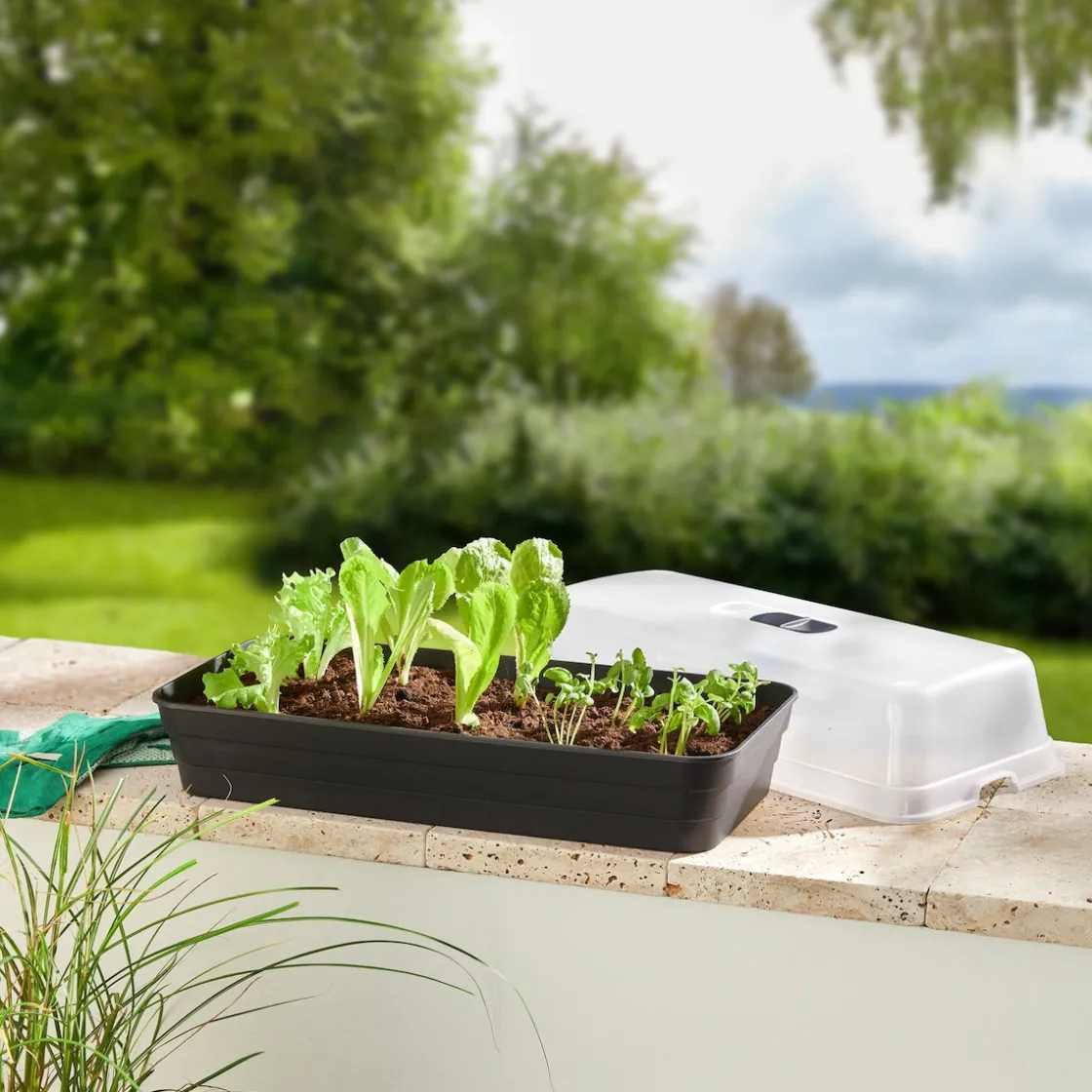 Gewächshäuser & Aufzuchthilfen|Die moderne Hausfrau Anzuchtbeet mit Haube „2 in 1“