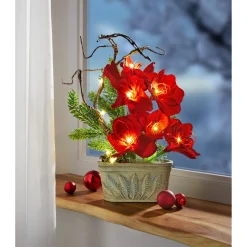 Weihnachtsdekoration·Adventskränze & Gestecke|Weihnachtsdekoration·Weihnachtsbeleuchtung|Die moderne Hausfrau Arrangement „Amaryllis“