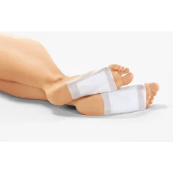 Hausapotheke ·Pflaster|Die moderne Hausfrau Bambus-Pflaster Ingwer, 10 Stück