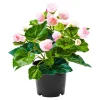 Kunstpflanzen|Die moderne Hausfrau Begonienbusch rosa