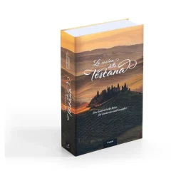 Spardosen & Geldverstecke|Die moderne Hausfrau Buch-Tresor "Toscana"