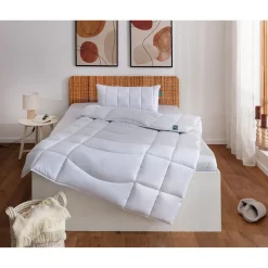 Bettzubehör ·Bettdecken & Kopfkissen|Die moderne Hausfrau Dacron® AKTIVKOHLE Kissen 040x080