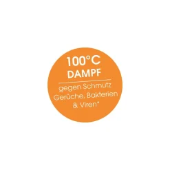 Reinigungsbürsten|Die moderne Hausfrau Dampfreiniger 