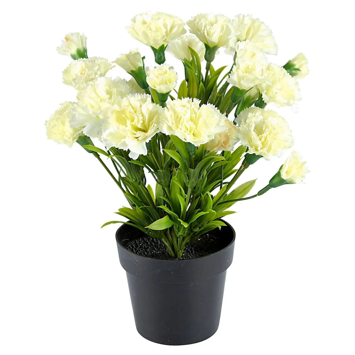 Die moderne Hausfrau Deko-Nelke weiß