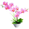 Kunstpflanzen|Die moderne Hausfrau Deko-Traum "Orchidee"