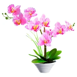 Kunstpflanzen|Die moderne Hausfrau Deko-Traum "Orchidee"