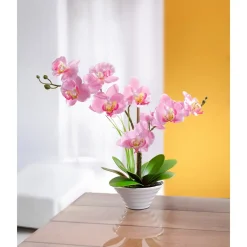 Kunstpflanzen|Die moderne Hausfrau Deko-Traum "Orchidee"