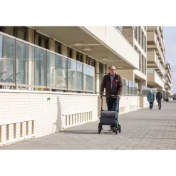 Rollatoren|Die moderne Hausfrau Einkaufsrollator Rollz Flex mit Sitz und Tasche, faltbar Jungle Green