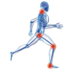 Einlegesohlen|Fußpflegeprodukte·Einlegesohlen|Die moderne Hausfrau Einlegesohlen "Memory-Komfort" schwarz