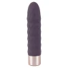 Die moderne Hausfrau Elegant Vibrator Dia