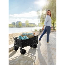 Einkaufstrolleys|Die moderne Hausfrau Faltbarer Bollerwagen