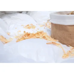 Bettzubehör ·Bettdecken & Kopfkissen|Die moderne Hausfrau Feder-Daunen Kopfkissen