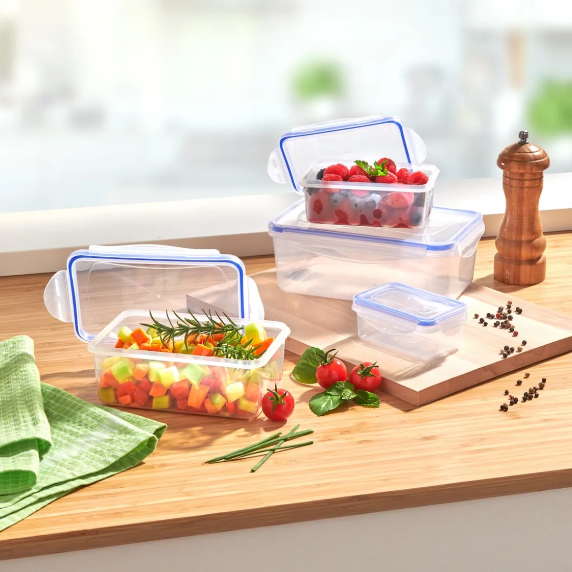 Lebensmittelbehälter|Die moderne Hausfrau Frischhaltedosen, 4 Stück