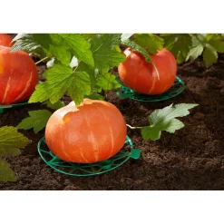 Gewächshäuser & Aufzuchthilfen|Die moderne Hausfrau Gemüse-Reifer, 10 Stück