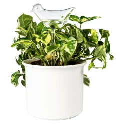 Gartenbewässerung|Die moderne Hausfrau Glas-Bewässerungshilfe „Vögel“, 2 Stück