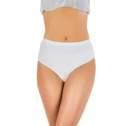 Inkontinenzhosen|Die moderne Hausfrau Inkontinenz Damenslip "250" weiß