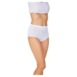 Inkontinenzhosen|Die moderne Hausfrau Inkontinenz-Damenslip, 1 Stück
