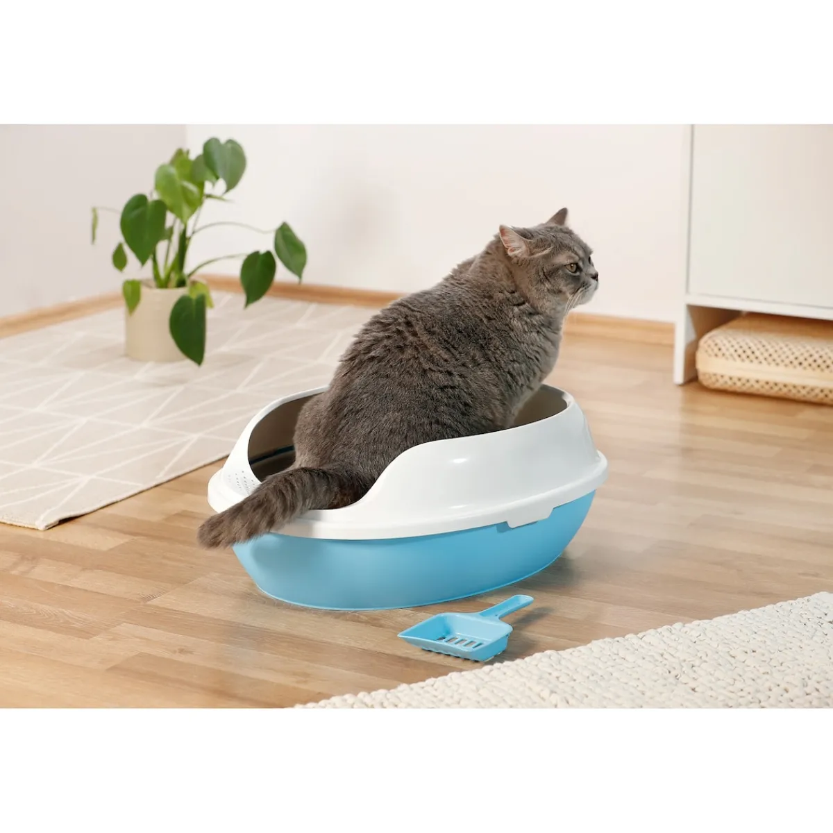 Die moderne Hausfrau Katzentoilette + Gratis Schaufel