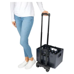 Einkaufstrolleys|Die moderne Hausfrau Klapp-Trolley „Genial“