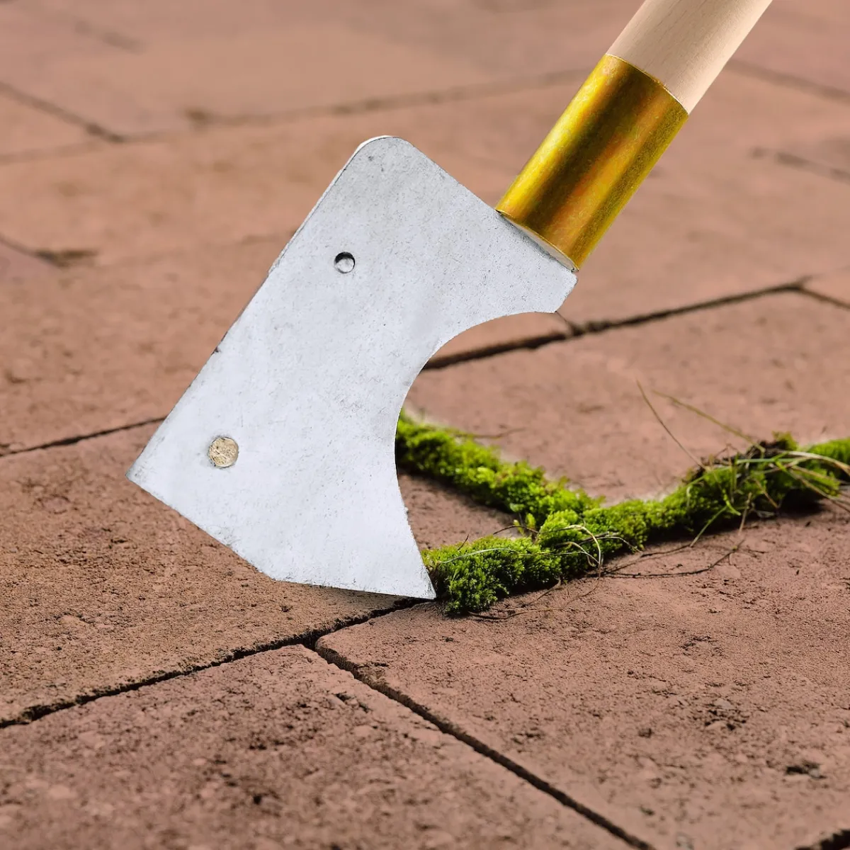 Die moderne Hausfrau Komfort-Fugenreiniger