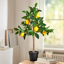 Kunstpflanzen|Die moderne Hausfrau Kunstbaum „Zitrone“