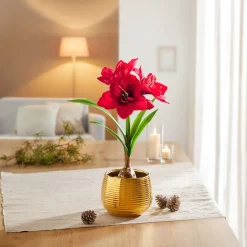 Die moderne Hausfrau Kunstblume „Amaryllis“