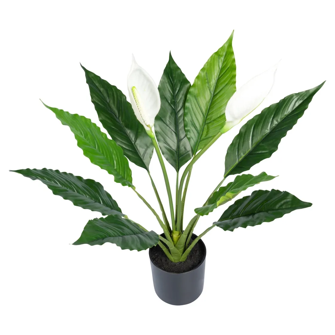 Kunstpflanzen|Die moderne Hausfrau Kunstblume „Scheidenblatt“