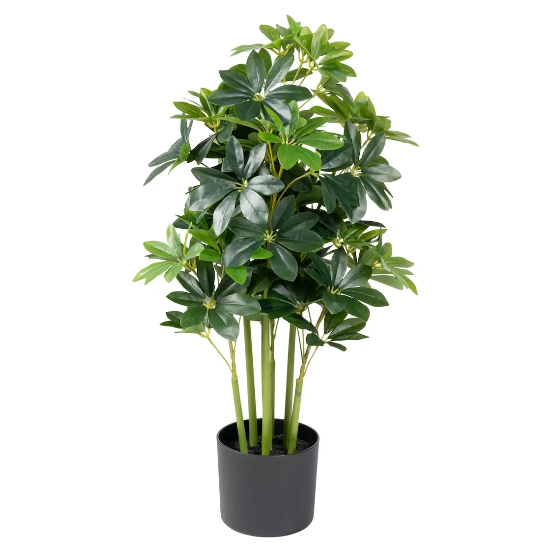 Kunstpflanzen|Die moderne Hausfrau Kunstblume „Strahlenaralie“