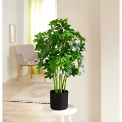 Kunstpflanzen|Die moderne Hausfrau Kunstblume „Strahlenaralie“