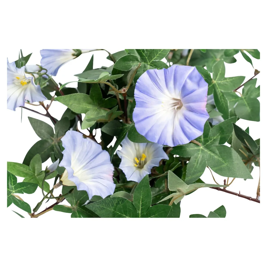 Kunstpflanzen|Die moderne Hausfrau Kunstblume "Winde" blau