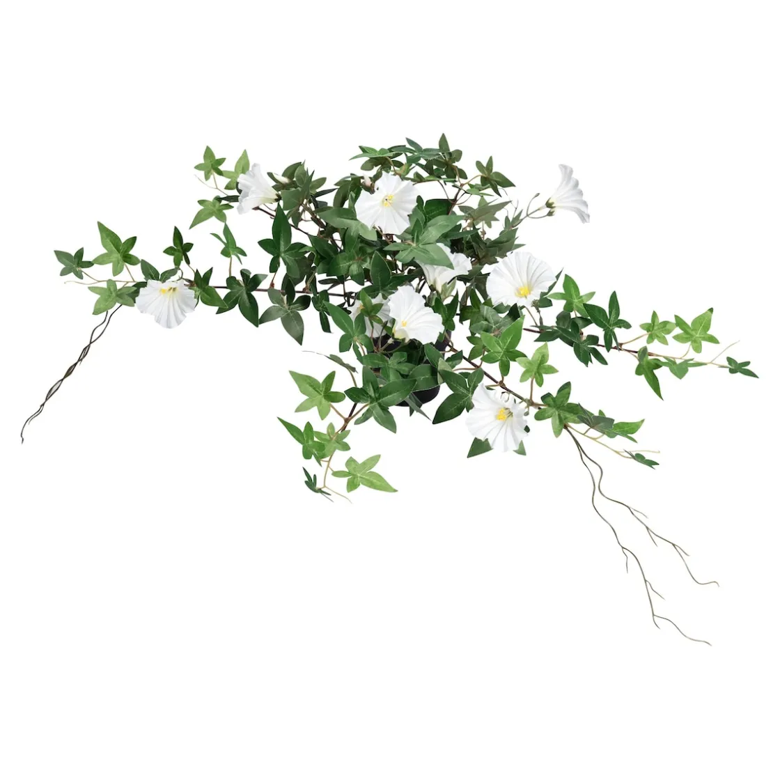 Kunstpflanzen|Die moderne Hausfrau Kunstblume "Winde" weiß