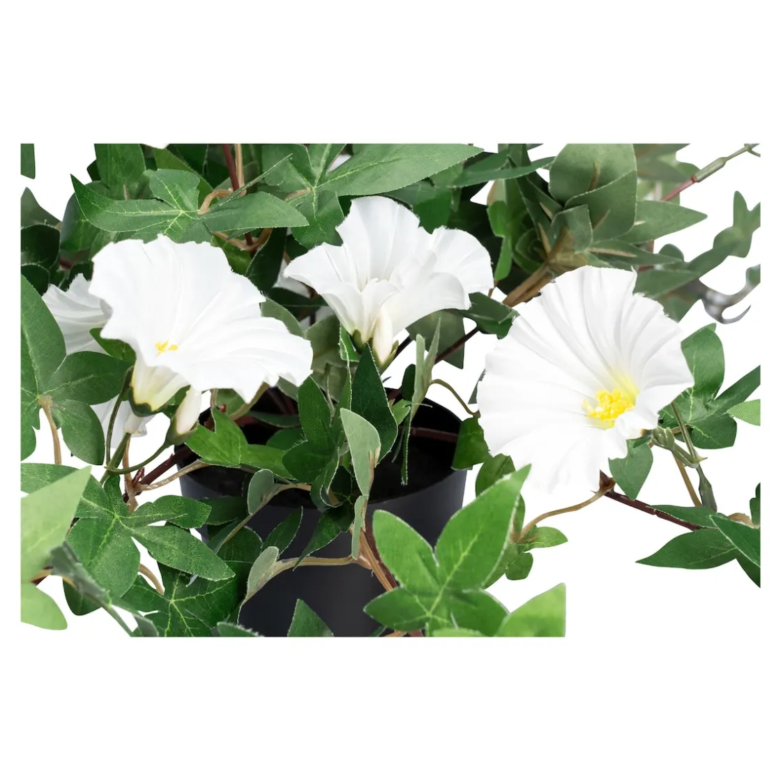 Kunstpflanzen|Die moderne Hausfrau Kunstblume "Winde" weiß