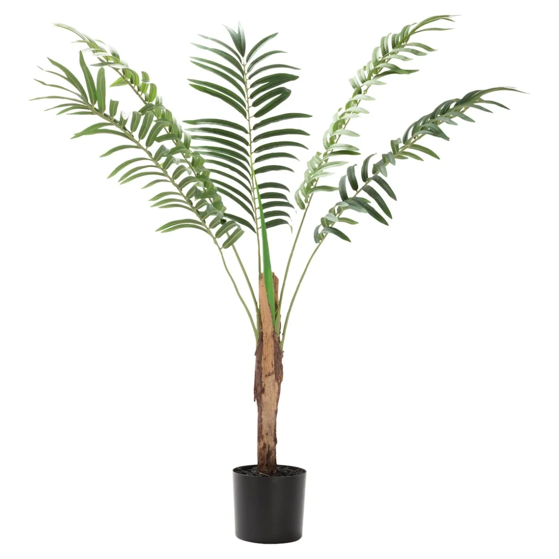 Kunstpflanzen|Die moderne Hausfrau Kunstpalme "Kentia"