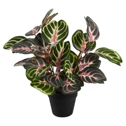 Kunstpflanzen|Die moderne Hausfrau Kunstpflanze "Alocasia"