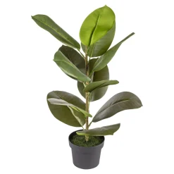 Kunstpflanzen|Die moderne Hausfrau Kunstpflanze „Gummibaum“