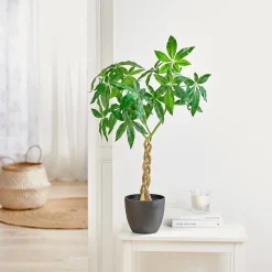 Kunstpflanzen|Die moderne Hausfrau Kunstpflanze mit Flechtstamm