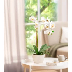 Kunstpflanzen|Die moderne Hausfrau Kunstpflanze "Weiße Orchidee"