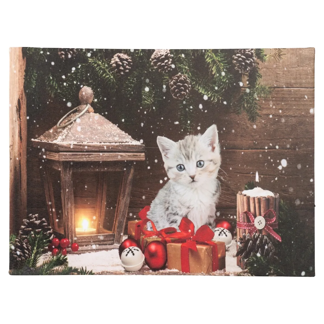 Herbstdekoration|Wanddekoration ·Wandbilder|Die moderne Hausfrau LED-Bild Kater Paul