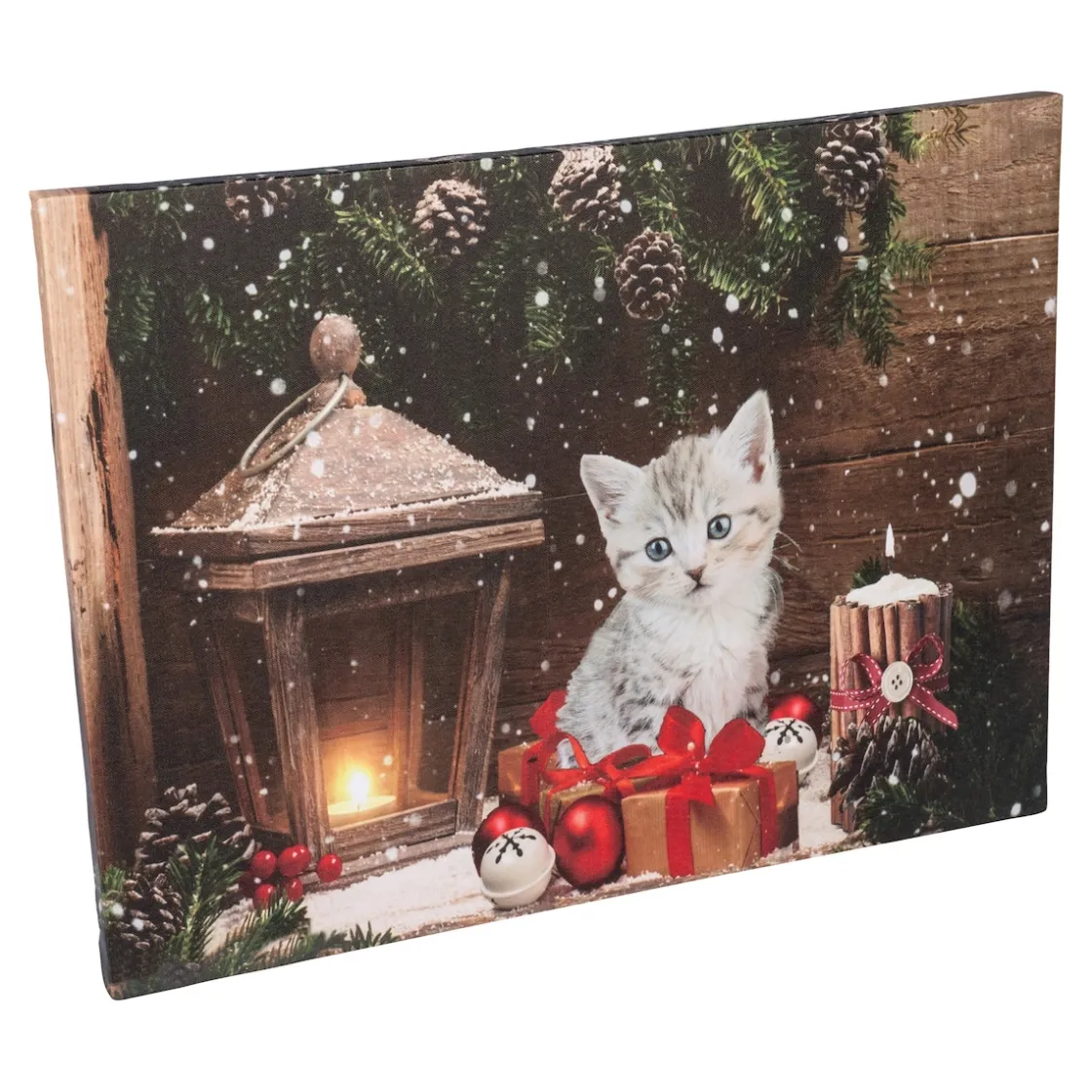 Herbstdekoration|Wanddekoration ·Wandbilder|Die moderne Hausfrau LED-Bild Kater Paul