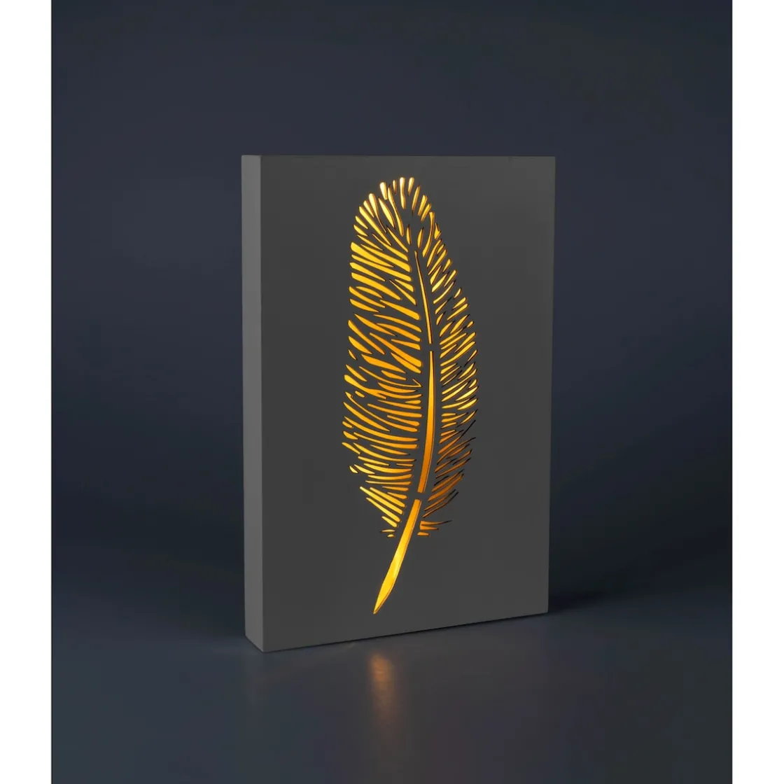 Wanddekoration ·Wandbilder|Die moderne Hausfrau LED-Bild „Leuchtfeder“