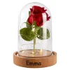 Kunstpflanzen|Die moderne Hausfrau LED-Glas "Ewige Rose" mit Musik, personalisiert mit Namen