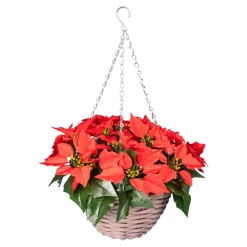 Herbstdekoration|Kunstpflanzen|Die moderne Hausfrau LED-Hängekorb „Weihnachtsstern“