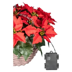 Herbstdekoration|Kunstpflanzen|Die moderne Hausfrau LED-Hängekorb „Weihnachtsstern“