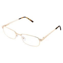 Sehhilfen·Lesebrillen|Die moderne Hausfrau Lesebrillen "elegant" + Gratis Etui gold