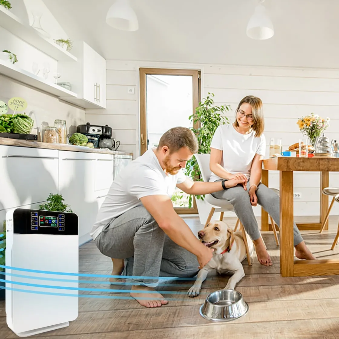 Luftreiniger|Die moderne Hausfrau Livington AirPurifier 6-in-1 Luftreiniger