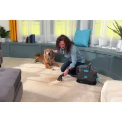 Staubsauger|Die moderne Hausfrau Livington Waschsauger 